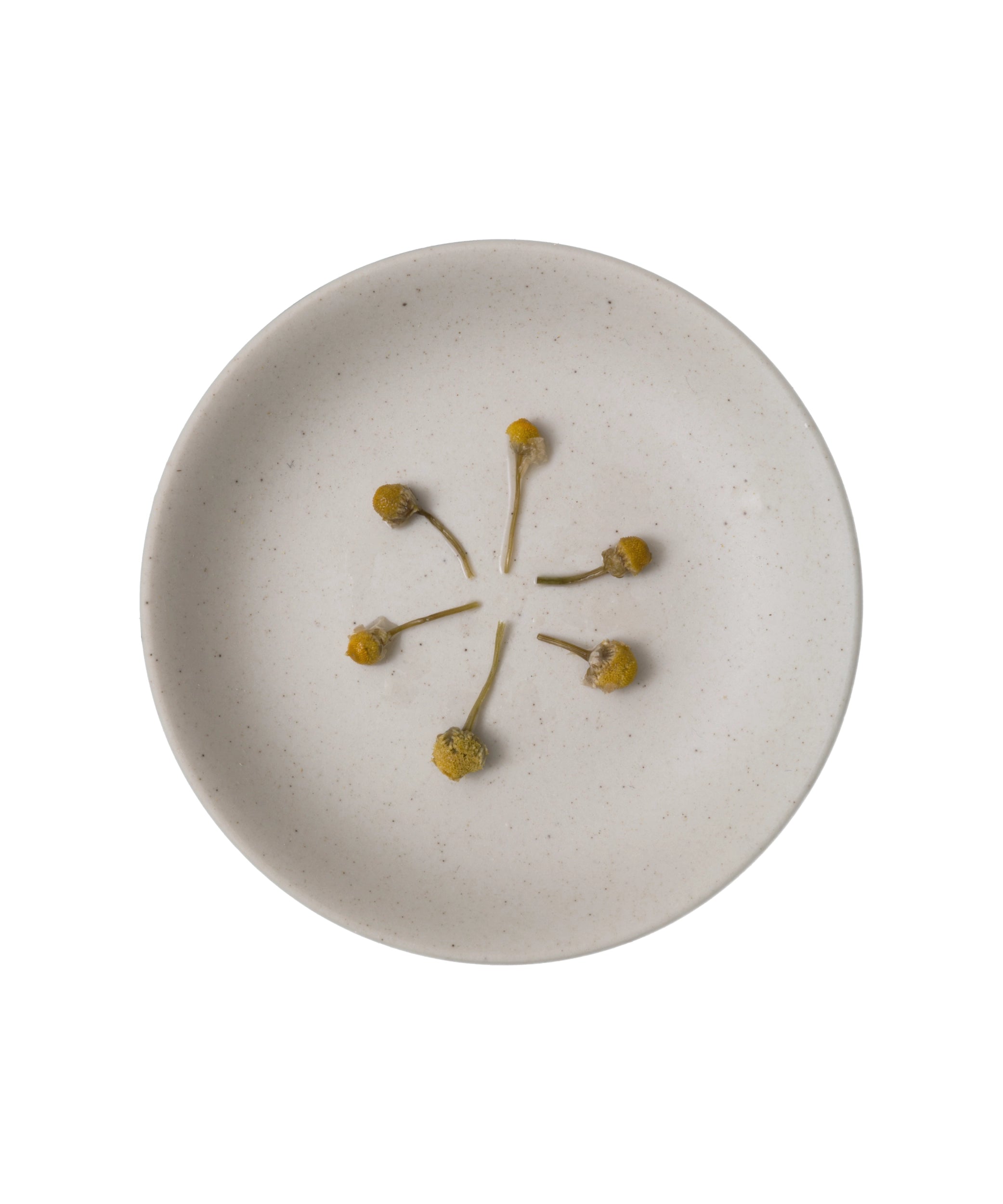 Chamomile