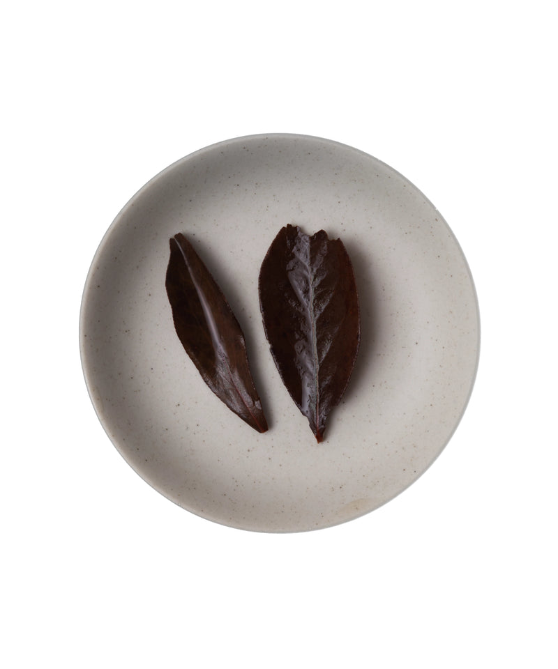 Blueberry Leaf